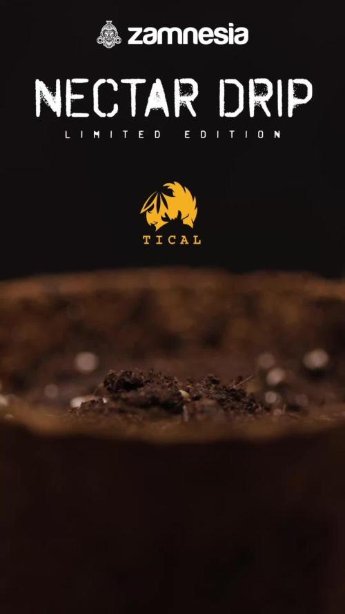 Nectar Drip #1 - Zamnesia X Tical x B&B