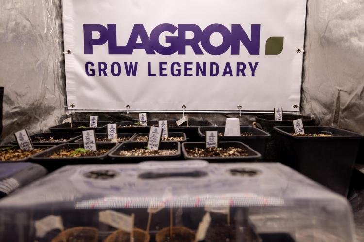 Permanent Marker - Zamnesia x B&B. Week 0 - All Crew Zamnesia x Plagron