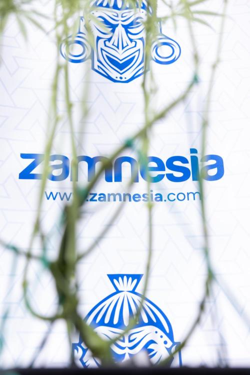 Karen Kush Auto #2 - Zamnesia x B&B. Week 6 - Karen Kush #2 - Bloom - Week 7 - LST