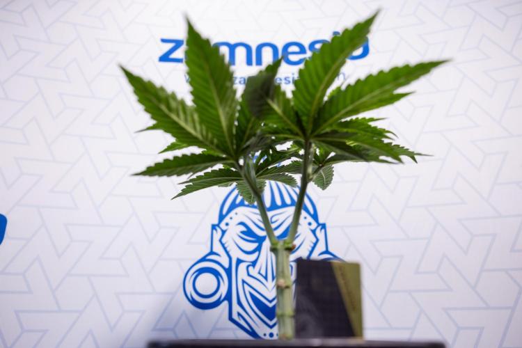 Nectar Drip #2 - Zamnesia x Tical x B&B. Week 6 - Nectar Drip #2 - Topping x 8