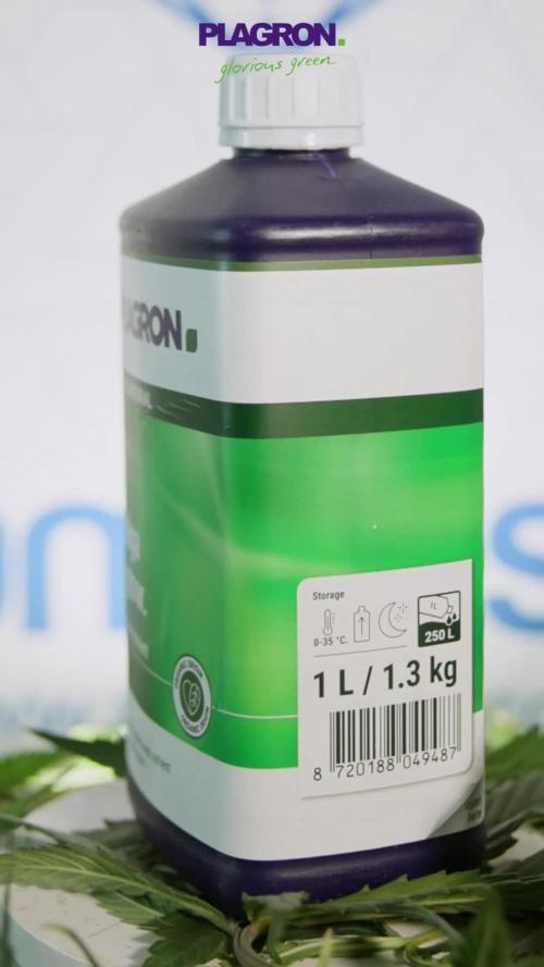 Nectar Drip #3 - Zamnesia x Tical x B&B