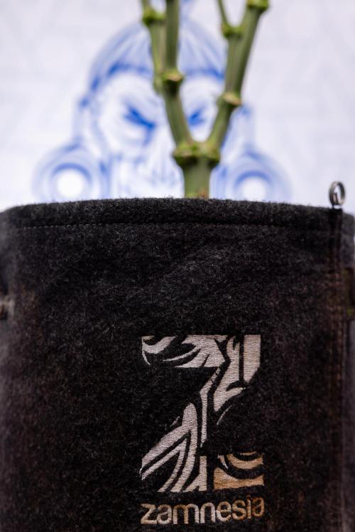 L.A. Kush Cake #3 - Zamnesia x B&B. Week 7 - L.A. Kush Cake  #3 - Topping x 16 - 1st Week Bloom