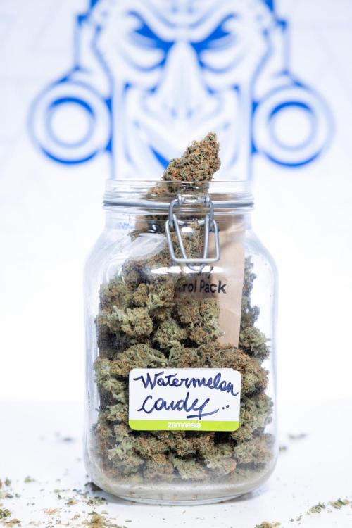 Watermelon Candy #1 -  Zamnesia x B&B. Week 10 - Watermelon Candy #1 - No Techniques -  Dry Buds