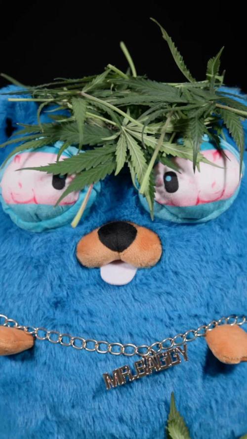 Tropicana Cookies #1 - Zamnesia x B&B