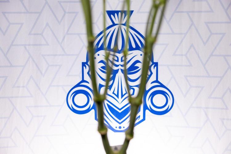 L.A. Kush Cake #3 - Zamnesia x B&B. Week 8 - L.A. Kush Cake #3 - 2nd+ Week Bloom - Topping