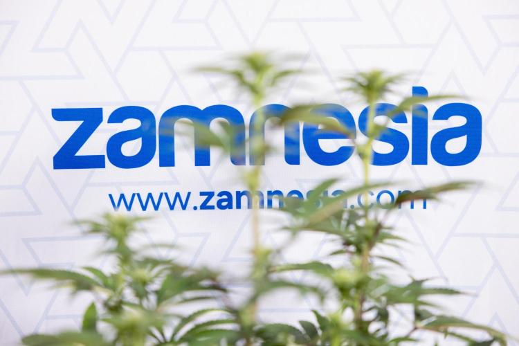 Nectar Drip #3 - Zamnesia x Tical x B&B. Week 8 - Nectar Drip #3 - 2nd Week - Mainilining No LST