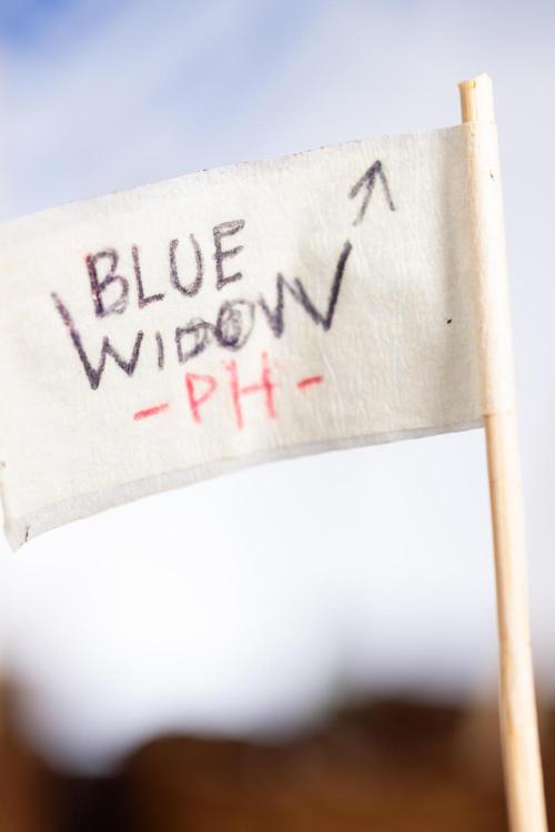 Blue Widow 🕷️  - Zamnesia x B&B. Week 0