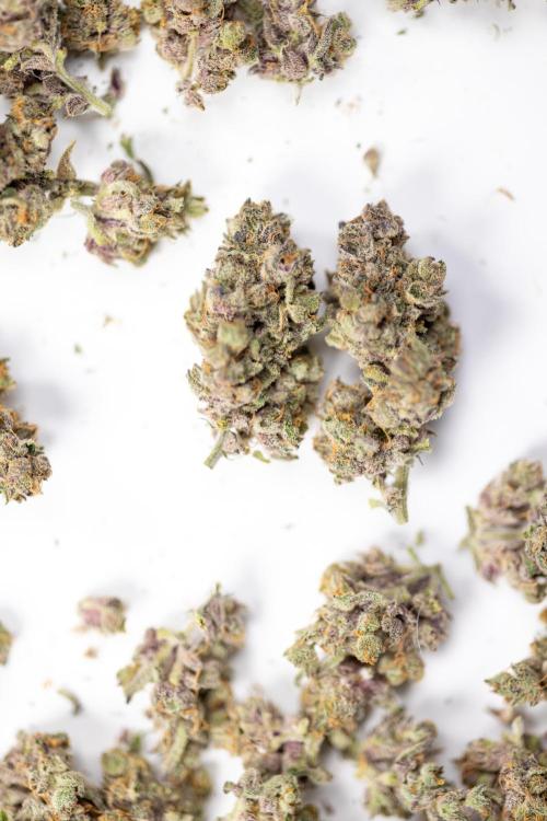 Georgia Pie #1 - Zamnesia x B&B. Week 14 - Georgia Pie #1 - Dry Buds