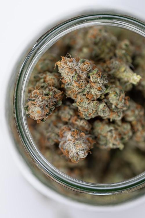 L.A. KUSH Cake #1 - Zamnesia x B&B. Week 15 - LA KUSH CAKE #1 - Dry Buds