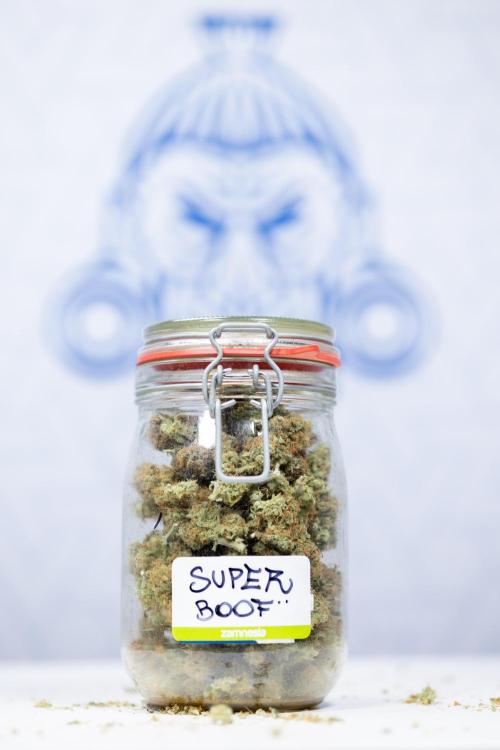 Super Boof - Zamnesia x B&B. Week 14 - Super Boof - Dry Buds