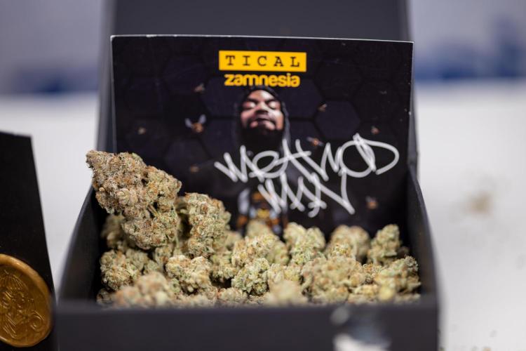 Nectar Drip #1 - Zamnesia X Tical x B&B. Week 10 - Nectar Drip 1 - Dry Buds