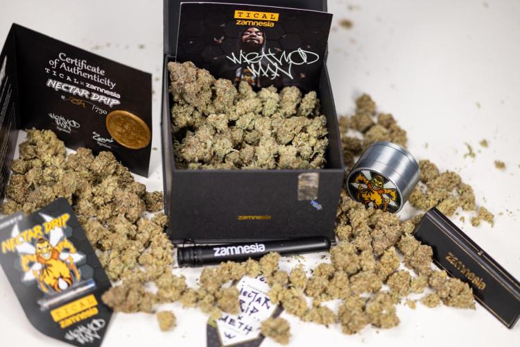 Nectar Drip #1 - Zamnesia X Tical x B&B. Week 10 - Nectar Drip 1 - Dry Buds
