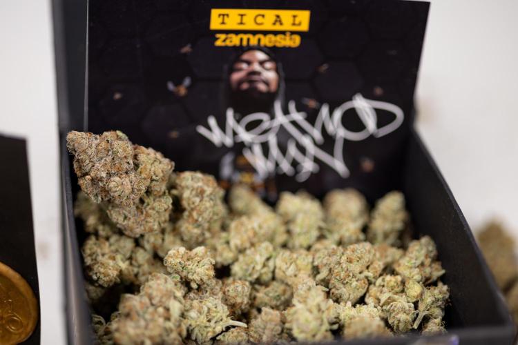 Nectar Drip #1 - Zamnesia X Tical x B&B. Week 10 - Nectar Drip 1 - Dry Buds
