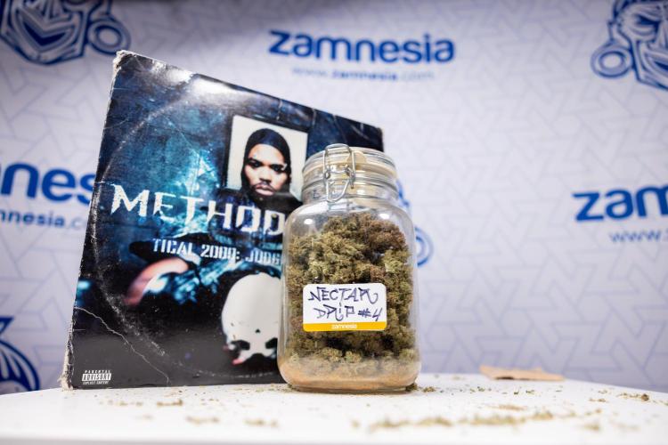 Nectar Drip #3 - Zamnesia x Tical x B&B. Week 11 - Nectar Drip 3 - Dry Buds