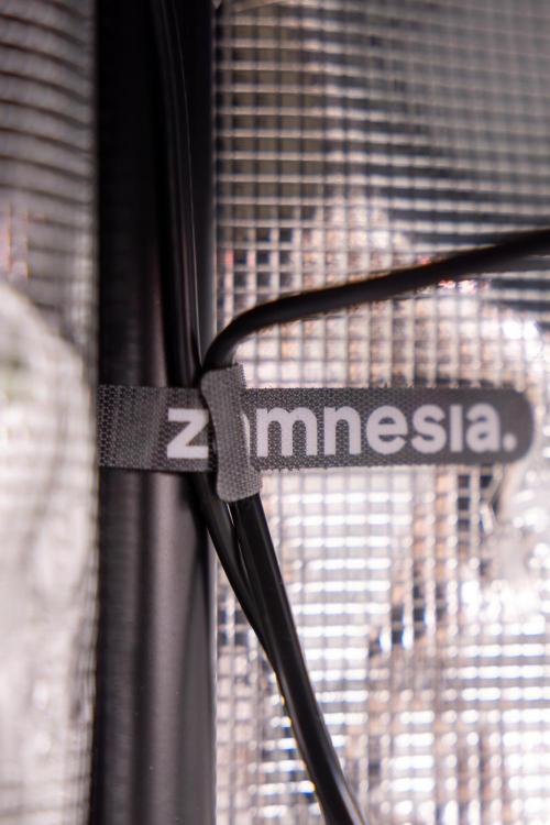 Mimosa 🌾 Auto - Zamnesia x B&B. Week 7 - Zamnesia Ecosystem