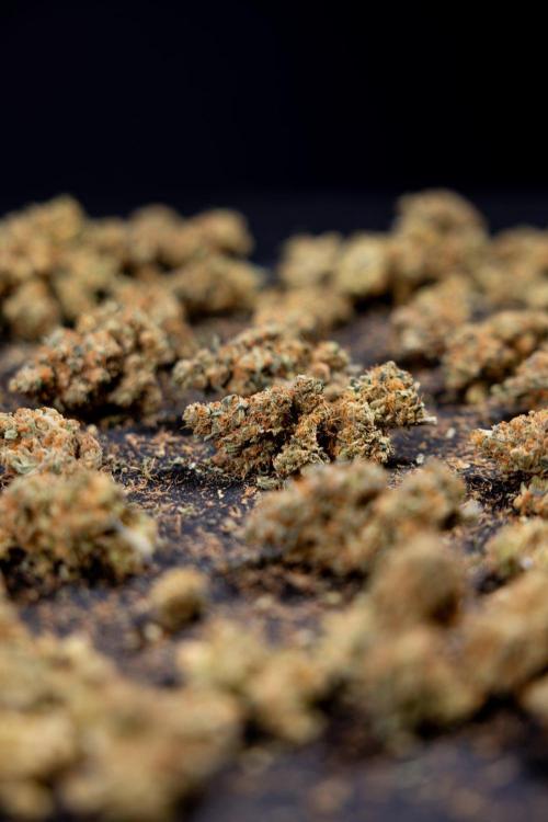 Blue Widow 🕷️  - Zamnesia x B&B. Week 11 - Blue Widow #1 - Photoperiodic - Dry Buds