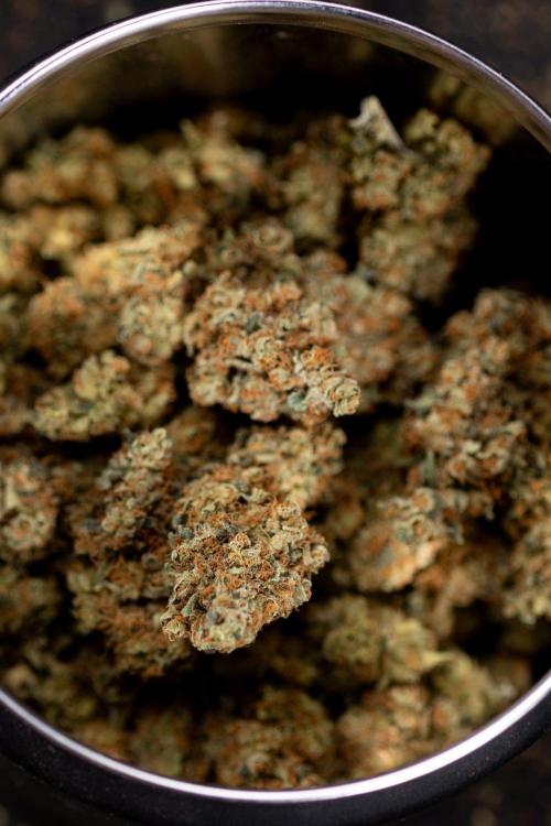 Blue Widow 🕷️  - Zamnesia x B&B. Week 11 - Blue Widow #1 - Photoperiodic - Dry Buds