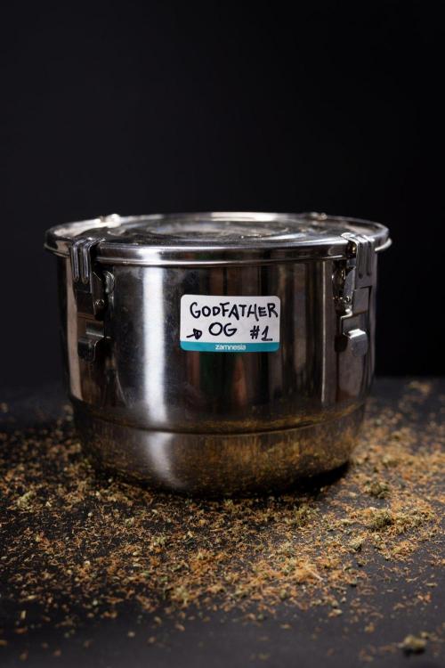 Godfather OG ✞ Auto - Zamnesia x B&B. Week 11 - Godfather OG Autoflowering - Plant  #1 - Dry Buds