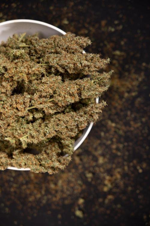 Godfather OG ✞ Auto - Zamnesia x B&B. Week 11 - Godfather OG Autoflowering - Plant  #1 - Dry Buds