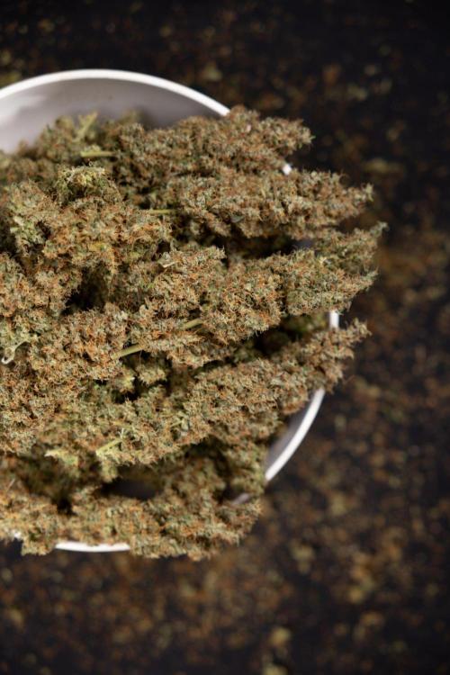Godfather OG ✞ Auto - Zamnesia x B&B. Week 11 - Godfather OG Autoflowering - Plant  #1 - Dry Buds