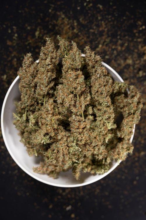 Godfather OG ✞ Auto - Zamnesia x B&B. Week 11 - Godfather OG Autoflowering - Plant  #1 - Dry Buds