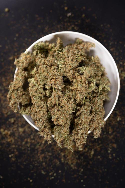 Godfather OG ✞ Auto - Zamnesia x B&B. Week 11 - Godfather OG Autoflowering - Plant  #1 - Dry Buds