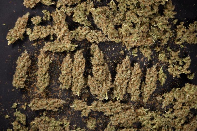 Godfather OG ✞ Auto - Zamnesia x B&B. Week 11 - Godfather OG Autoflowering - Plant  #1 - Dry Buds