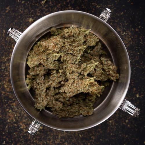 Godfather OG ✞ Auto - Zamnesia x B&B. Week 11 - Godfather OG Autoflowering - Plant  #1 - Dry Buds
