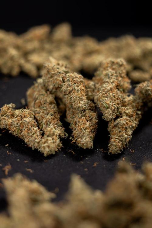 Blueberry Crumble 🔵 Auto - Z x B&B. Week 9 - Blueberry Crumbe #1 - Dry Buds