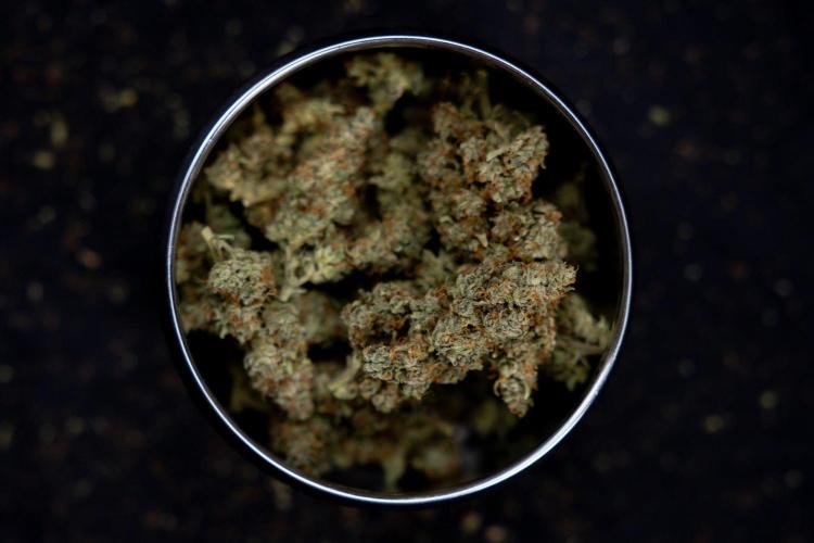 Blueberry Crumble 🔵 Auto - Z x B&B. Week 9 - Blueberry Crumbe #1 - Dry Buds