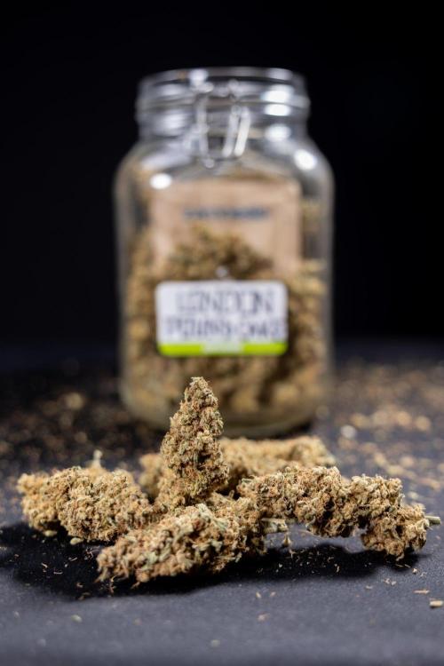 London Pound Cake 🍰 - Zamnesia x B&B. Week 12 - London Pound Cake #2 - Dry Buds