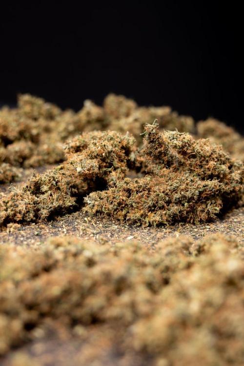 CBD FIX 🏥 Auto - Zamnesia x B&B. Week 10 - CBD FIX #1 - Dry Buds
