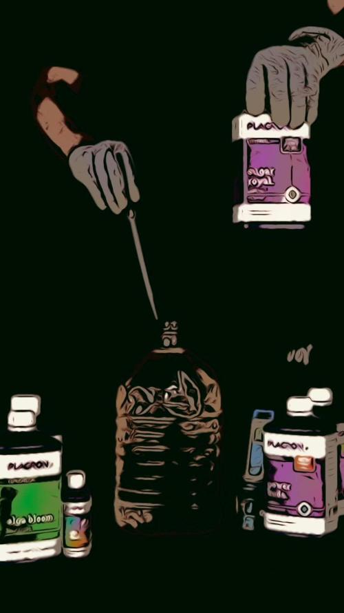 Sticky Beast Auto - Zamnesia - B&B