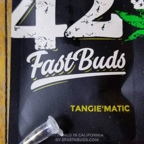 FastBuds Tangie'Matic. Week 1 - Day Negative 2