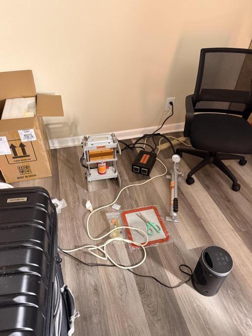 mellowz* grape gas x spritzer 2025. Week 6