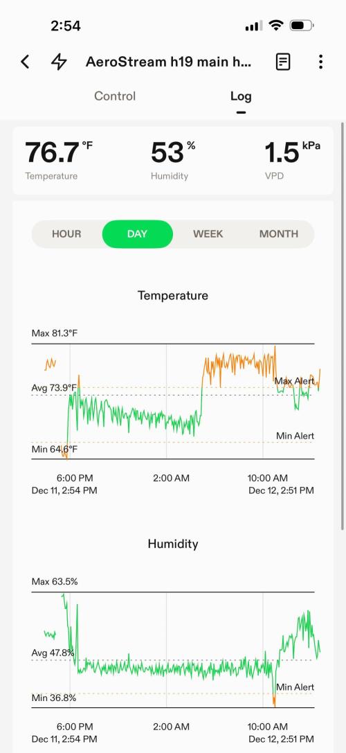 Lemonpaya coco fall 2025. Week 6
