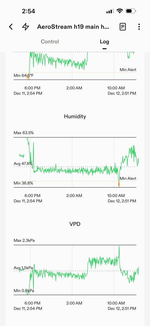 Lemonpaya coco fall 2025. Week 6