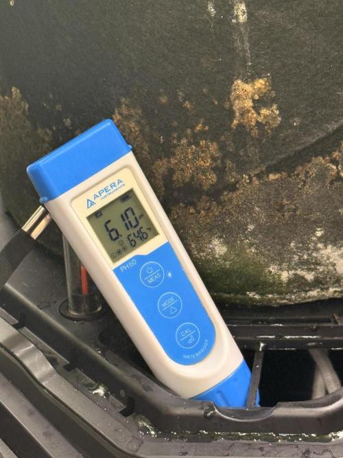 Lemonpaya coco fall 2025. Week 7