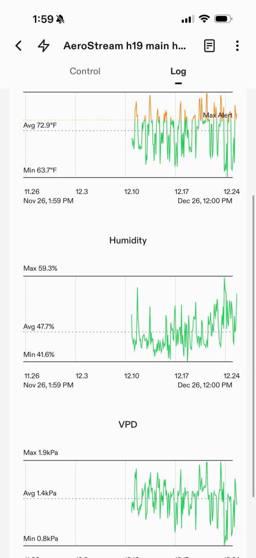 Lemonpaya coco fall 2025. Week 8