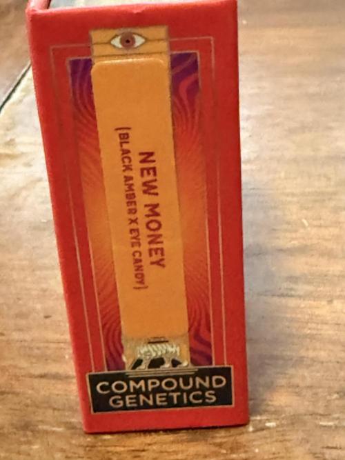 New money 💰  black amber x eye candy. Week 0