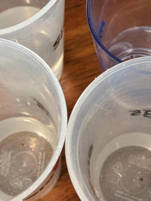 New money 💰  black amber x eye candy. Week 0