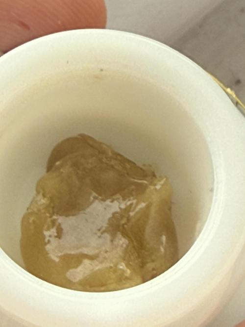 mellowz  2025  rosin run. Week 16