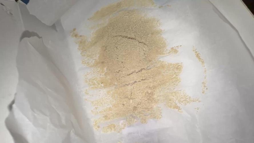 Lemonpaya coco fall 2025