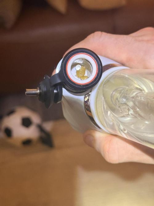 Lemonpaya coco fall 2025. Week 13 - Burns clean as fuc 