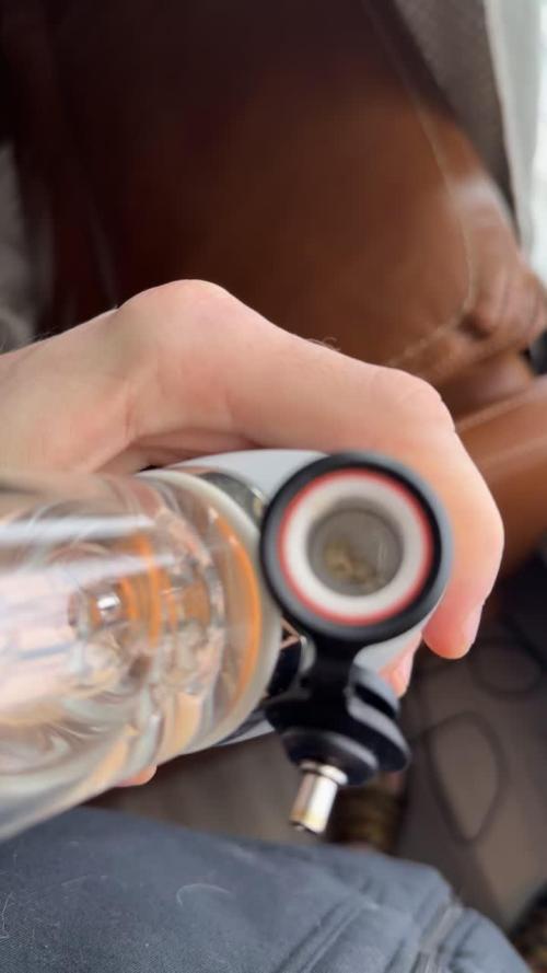 Lemonpaya coco fall 2025