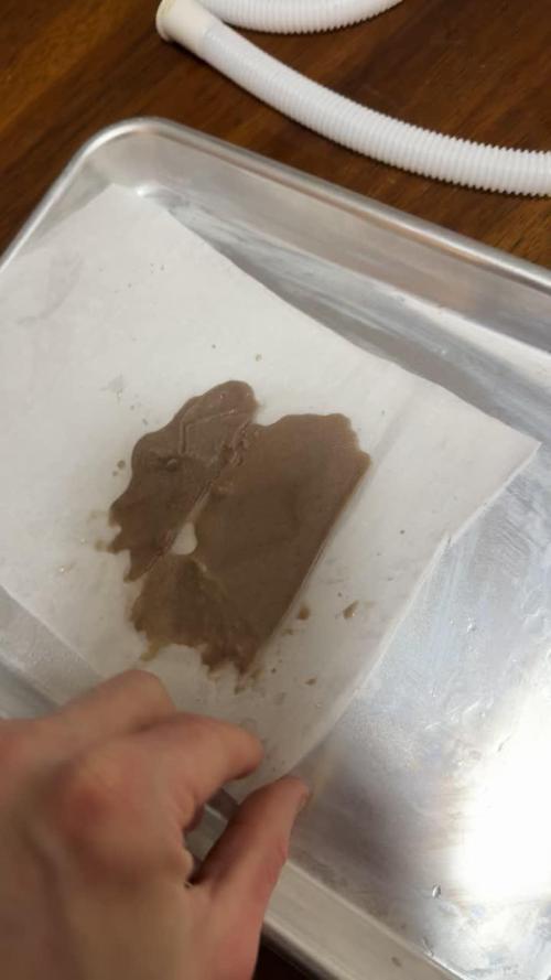 mellowz  2025  rosin run