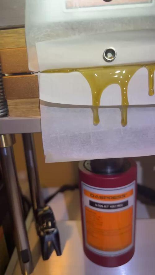 mellowz  2025  rosin run