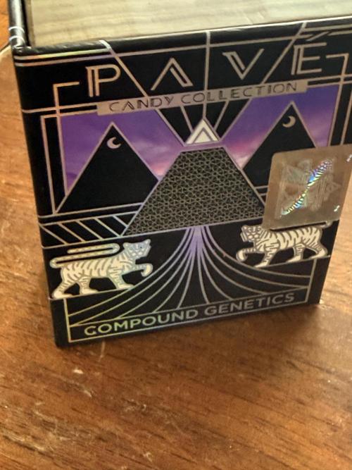 Rainbow guave. Week 0