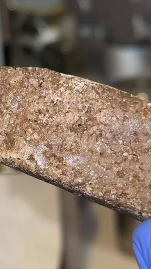 mellowz  2025  rosin run