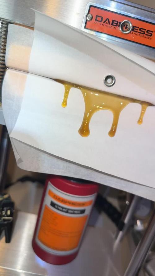 mellowz  2025  rosin run